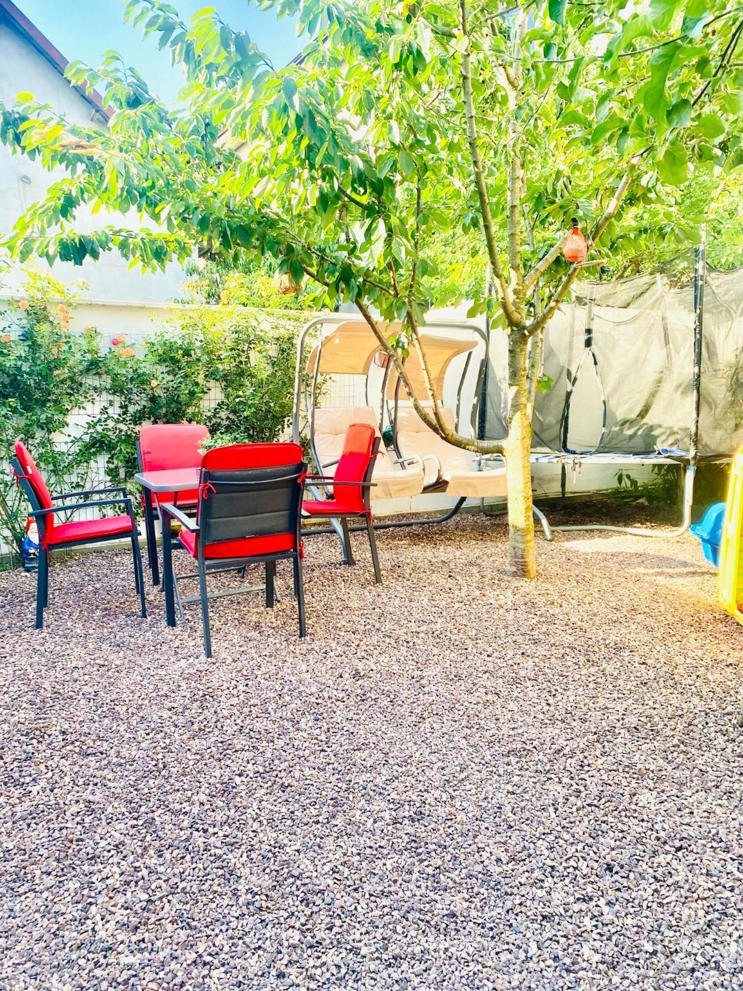 דירות אפורי נורד Casa Darului מראה חיצוני תמונה